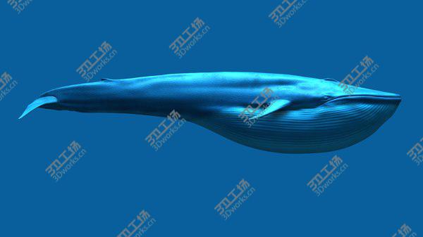 images/goods_img/20210312/3D Blue Whale/4.jpg